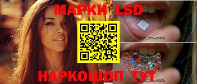spice Дубна