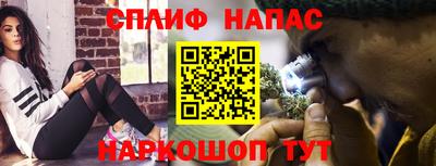 spice Дубна