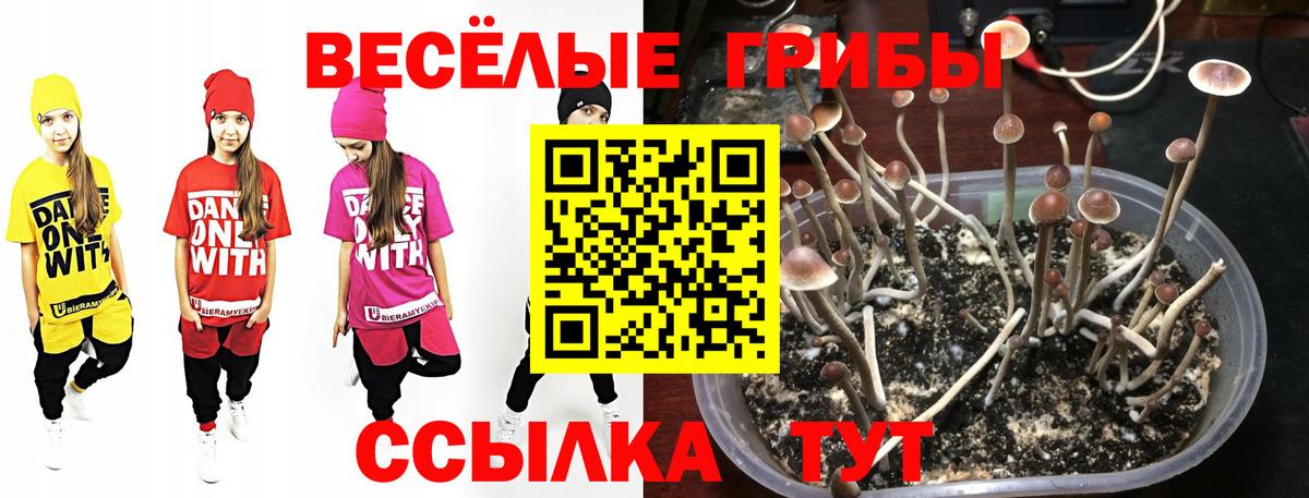 Мурманск  Псилоцибиновые грибы ЛСД  Вход с VPN  Псилоцибиновые грибы мухоморы 